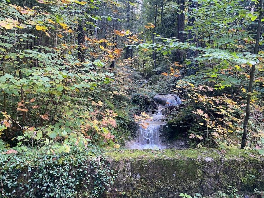 Casa Natur Pur, 85M2 Mit Garten Sauna Fischbachau Exterior foto
